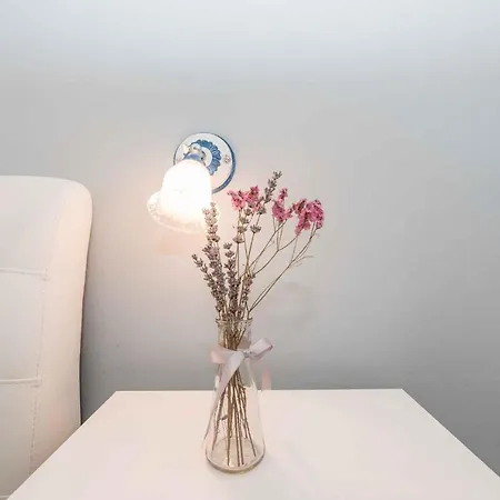 In Zadar/zadar Riviera 36725 شقة